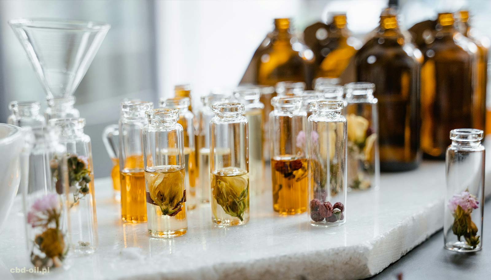 Olej CBD 10% Broad Spectrum