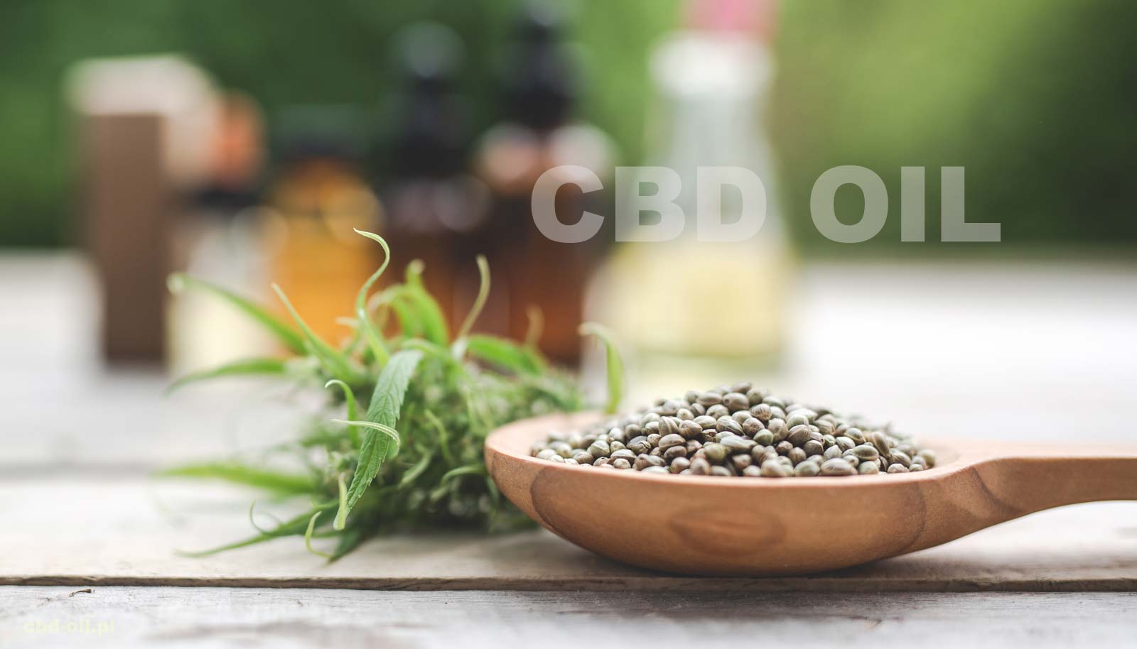 Odpowiedzi na często zadawane pytania o CBD