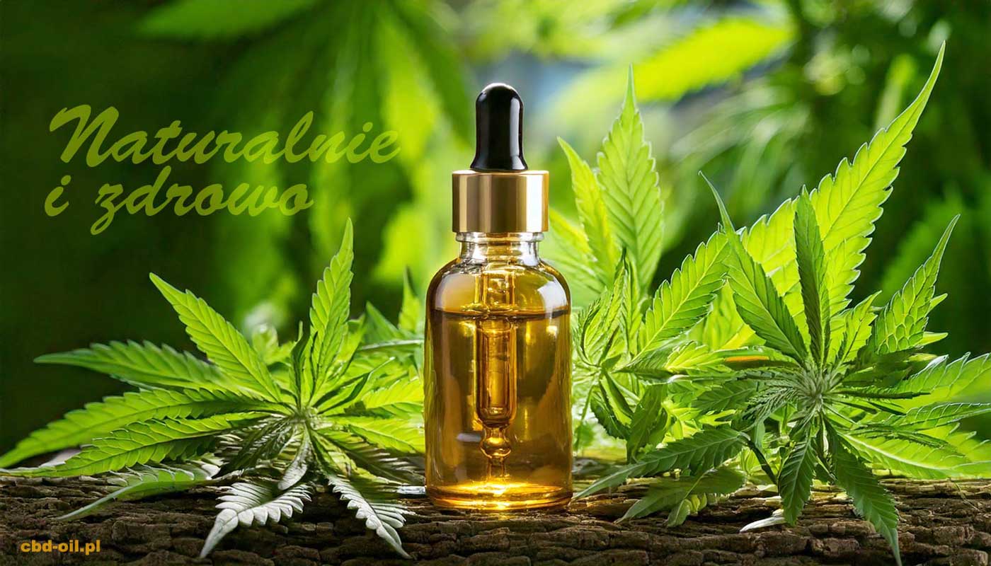Poradnik o olejkach CBD
